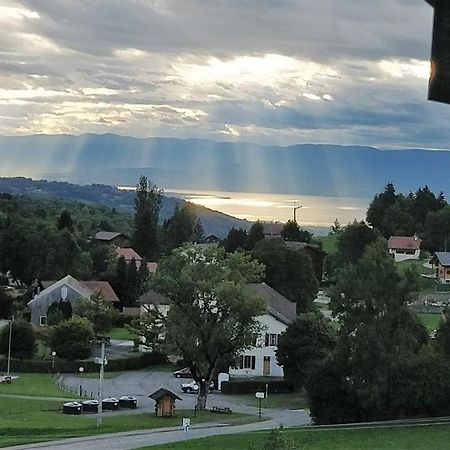 Balcony Of Lake Geneva Толлон Экстерьер фото